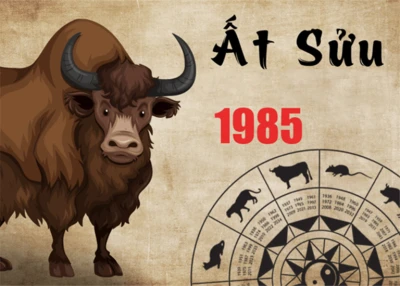 Hướng đặt két sắt cho tuổi Ất Sửu phù hợp phong thủy