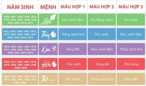 Cách Chọn Két Sắt Theo Màu Sắc Hợp Phong Thủy Giúp Thu Hút Tài Lộc