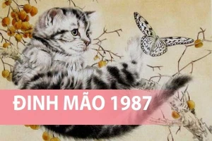 Cách đặt két sắt hợp phong thủy cho tuổi Đinh Mão
