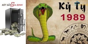 Hướng Đặt Két Sắt Cho Tuổi Kỷ Tỵ Đúng Phong Thủy Để Tăng Tài Lộc