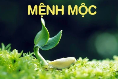 Két sắt phong thủy mệnh Mộc và tầm quan trọng trong bảo vệ tài sản
