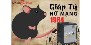 Tuổi Giáp Tý mệnh Kim chọn két sắt màu gì để phát tài?