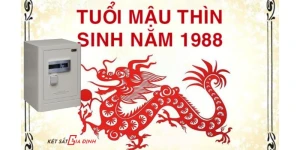 Tuổi Mậu Thìn nên chọn két sắt màu gì để thu hút tài lộc và bình an?