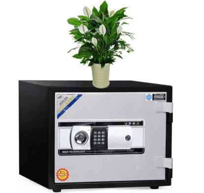 Nên đặt cây gì trên két sắt hợp phong thủy