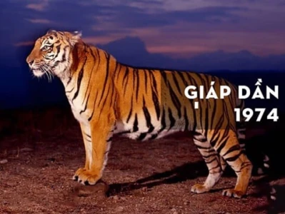 Hướng đặt két sắt cho tuổi Giáp Dần nhiều tài lộc